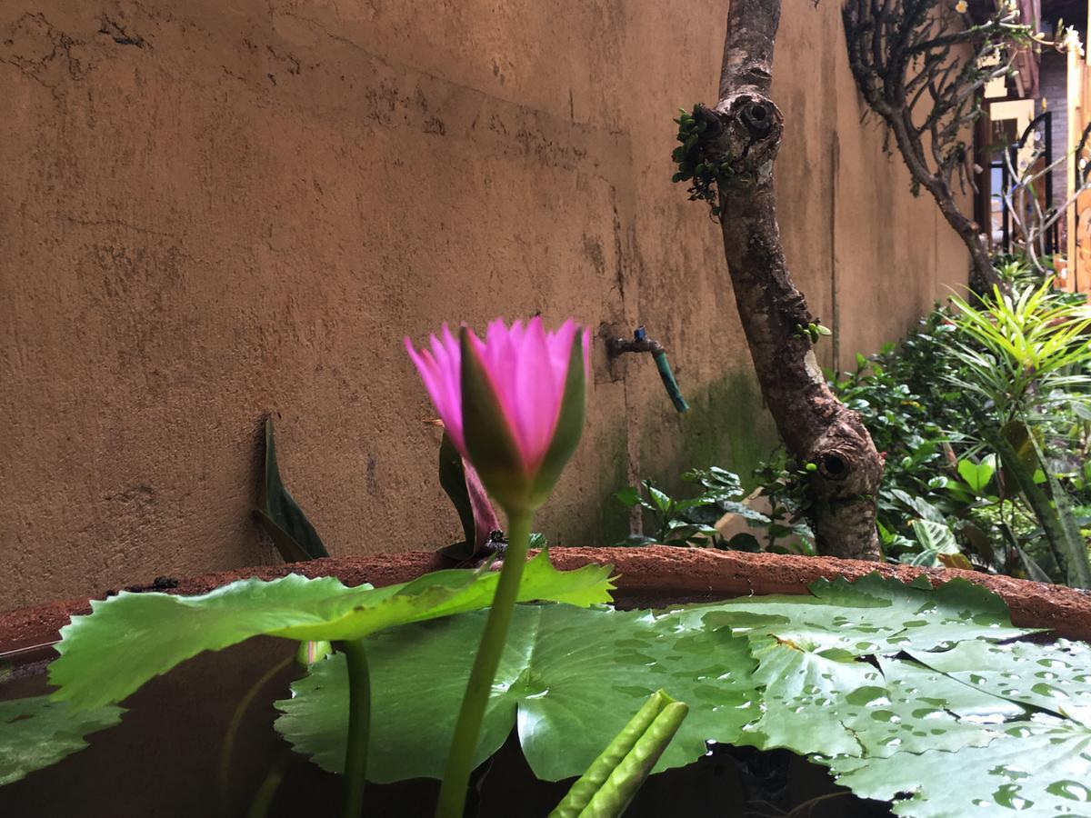Bulan Bali Homestay Ubud Exterior foto